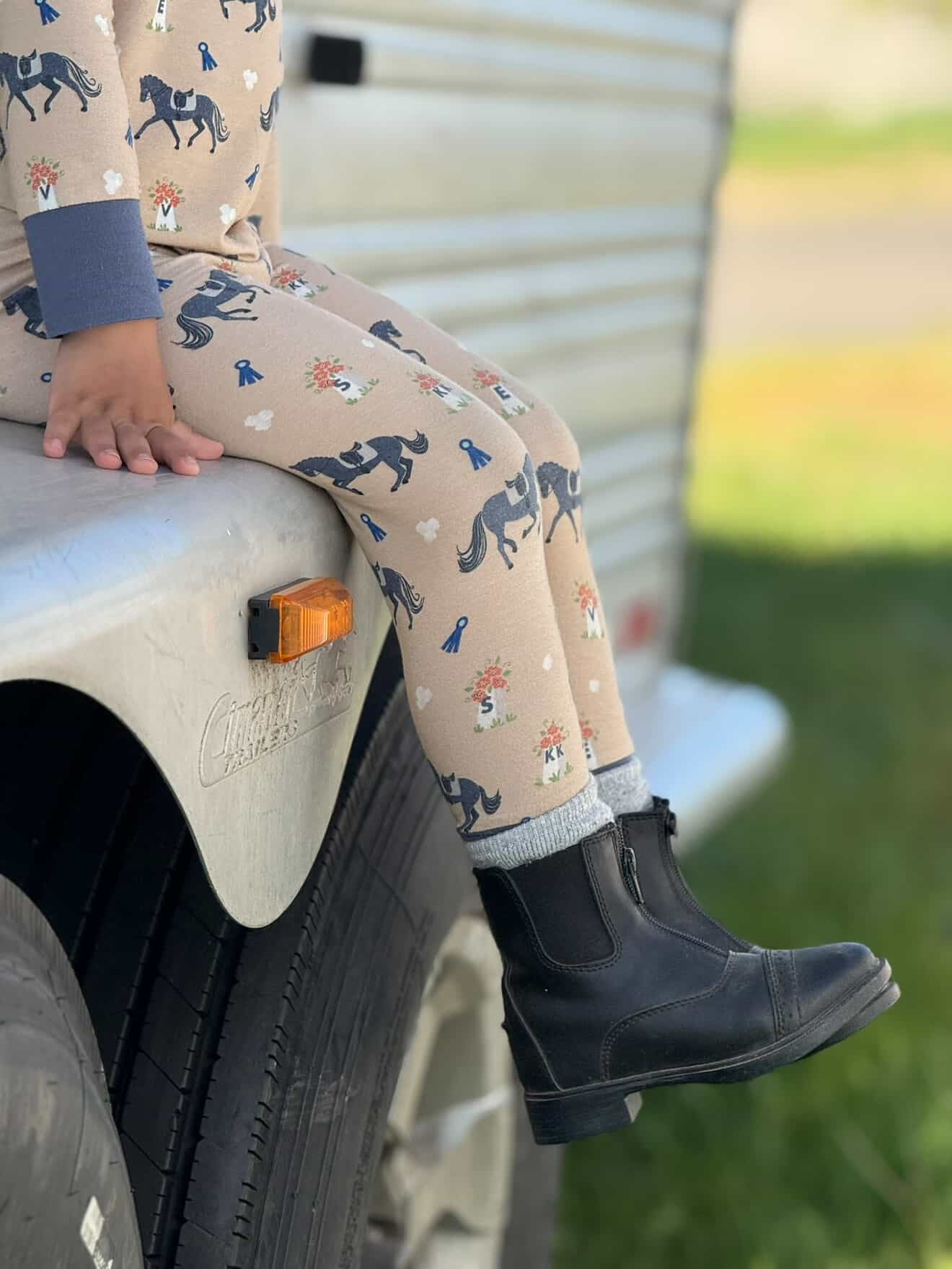 Dressage Pj